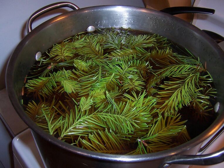 pine decoction for prostate